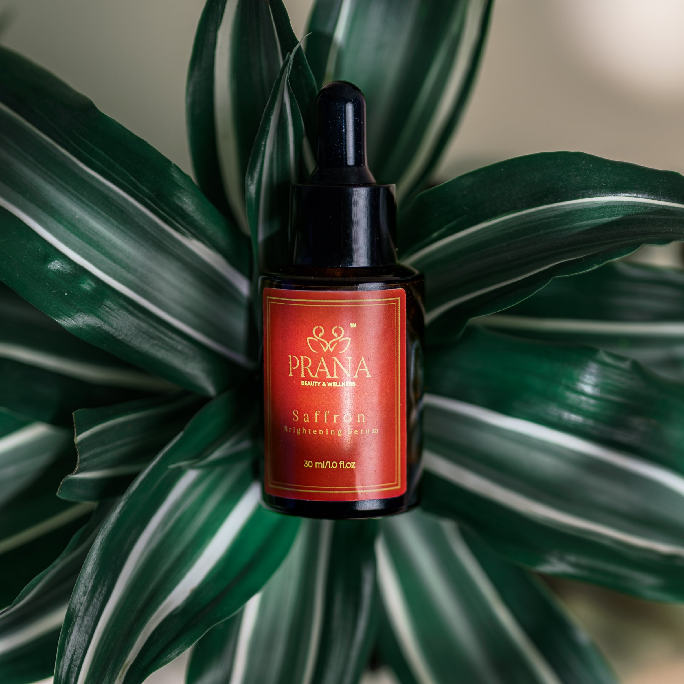 Can I use saffron on my face daily? - PRANA Beauty & Wellness