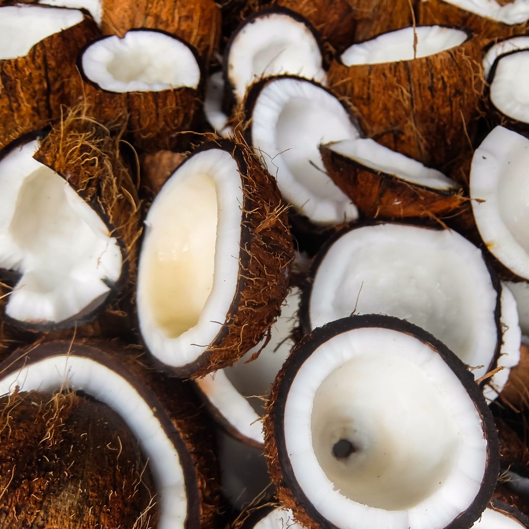 Coconut Oil Effect on Oral Bacteria – Fact Check - PRANA Beauty & Wellness