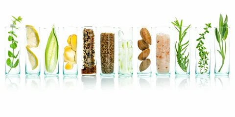 What is holistic beauty? - PRANA Beauty & Wellness