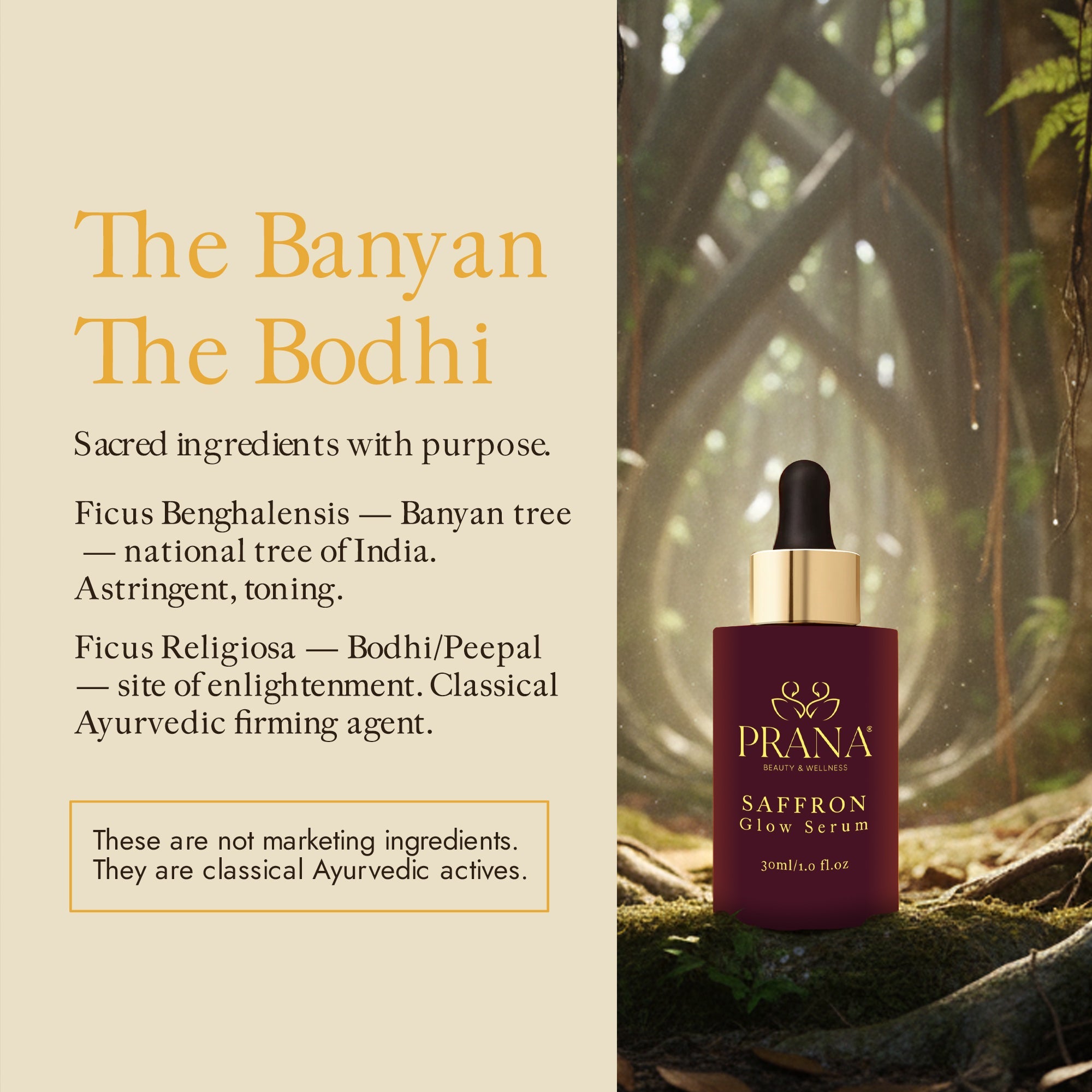 Saffron Glow Serum - PRANA Beauty & Wellness