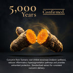 Split turmeric root with bright orange flesh against a dark background, illustrating curcumin and its antioxidant skincare benefits
